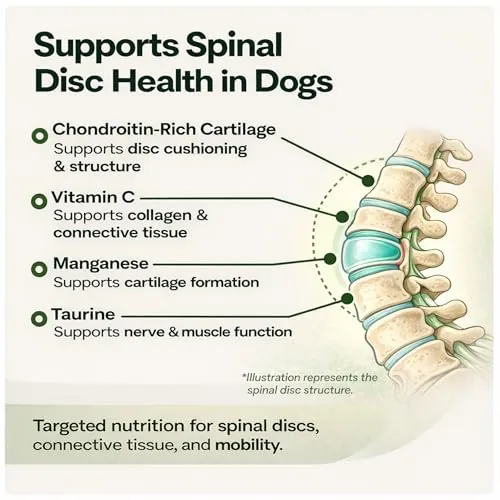 VetriScience Healthy Spine & Disc Review for Dogs image 4