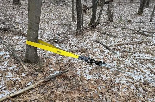 TGL 3 Inch 8 Foot Tree Saver Strap Review image 2