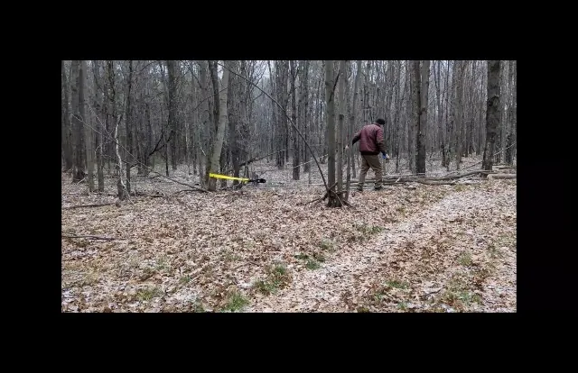 TGL 3 Inch 8 Foot Tree Saver Strap Review image 7