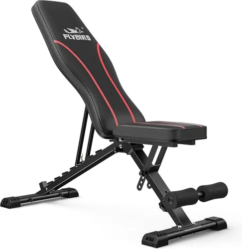 FLYBIRD WB2 Weight Bench Review: Foldable Bench Analysis