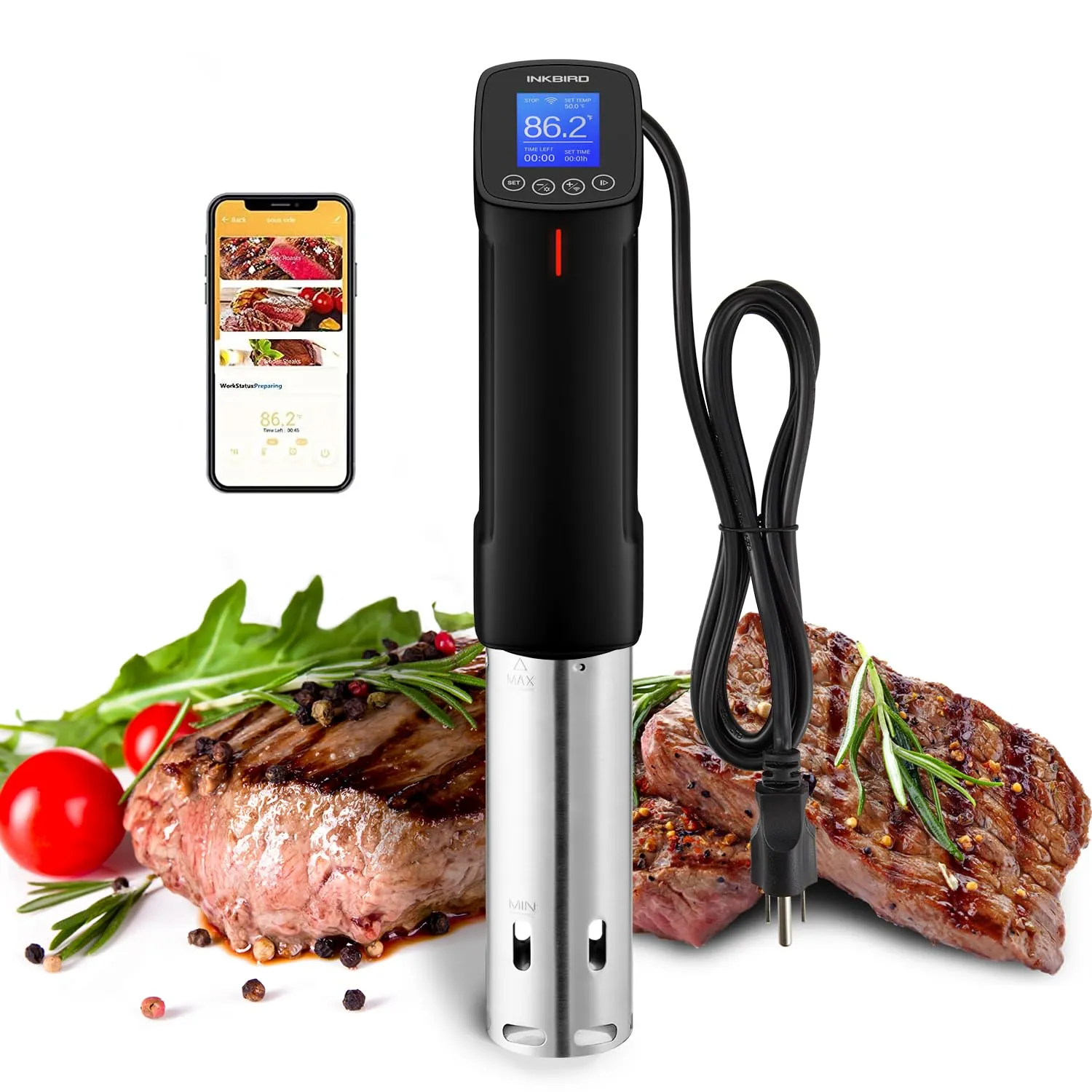 INKBIRD ISV-100W Sous Vide Cooker Review