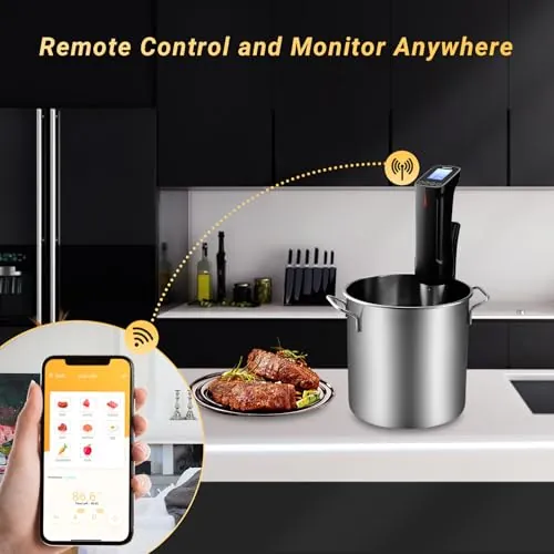 INKBIRD ISV-100W Sous Vide Cooker Review image 3