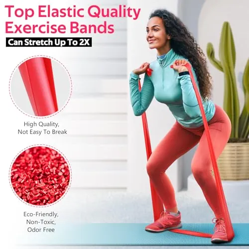 RENRANRING Resistance Bands Review: PT & Home Workout Set image 3